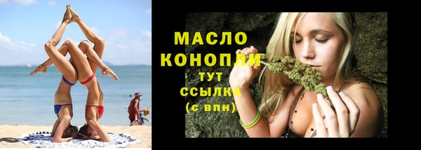 мдпв Богородск
