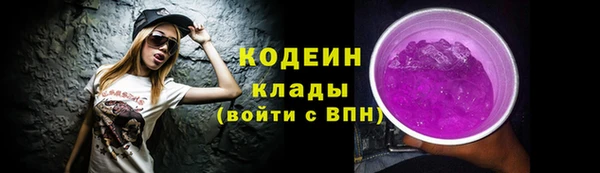 мдпв Богородск