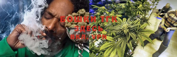 твердый Чегем