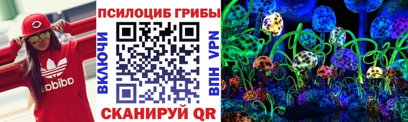Галлюциногенные грибы прущие грибы  Купить  Сатка 